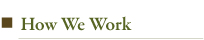 How We Work